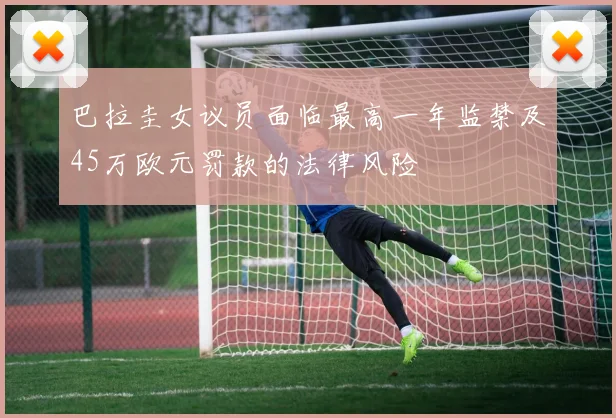 巴拉圭女议员面临最高一年监禁及45万欧元罚款的法律风险