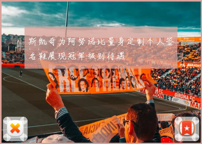 斯凯奇为阿努诺比量身定制个人签名鞋展现冠军级别待遇