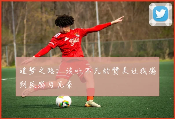 追梦之路：谈吐不凡的赞美让我感到反感与无奈